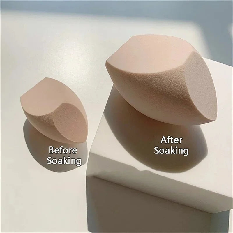 Large, Moist Makeup Sponge